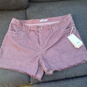 Carve Designs Mauve Corduroy Shorts